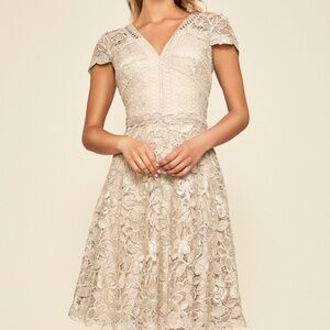 Tadashi Shoji Emily Flare Lace Dress NWOT size 4